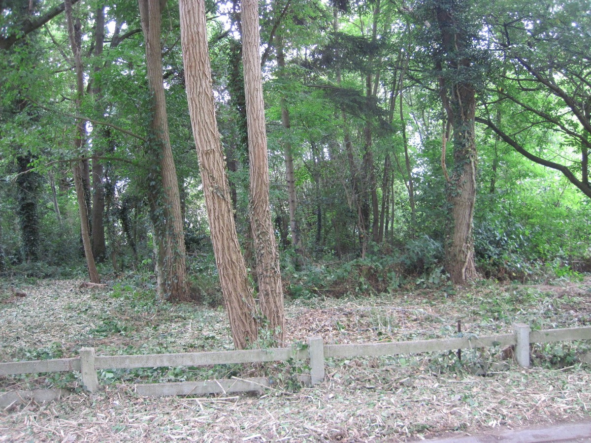 Perceel bouwgrond 748 m2  (Half Open Bebouwing). 