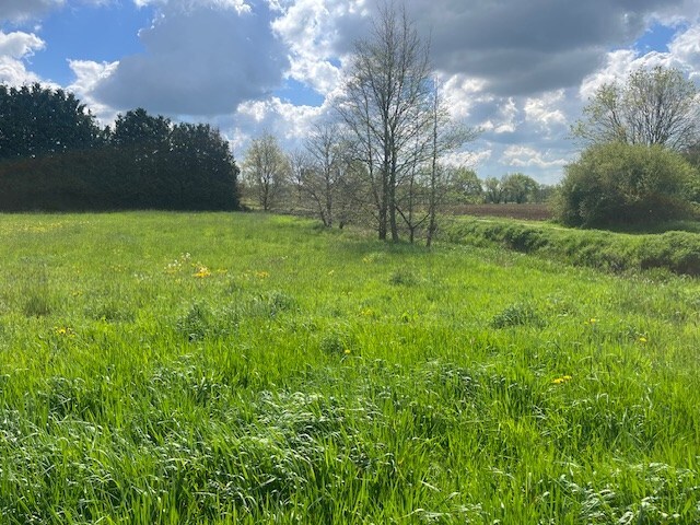 Te koop grond - Begijnendijk