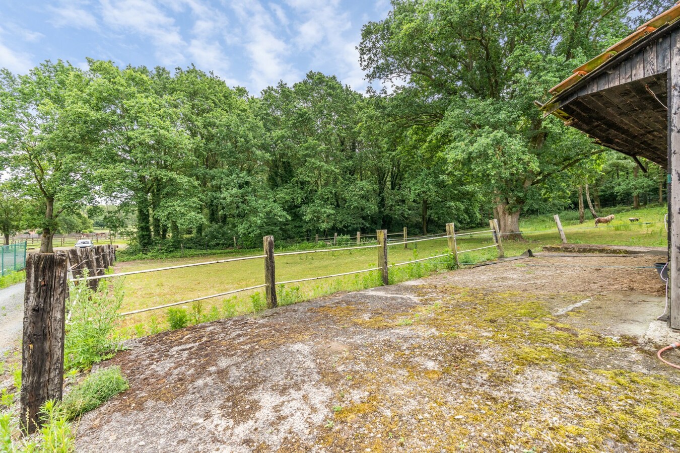 Uniek gelegen woning aan de bosrand op een perceel van 36a67ca waarvan 22a82ca geschikt is als paardenweide! 
