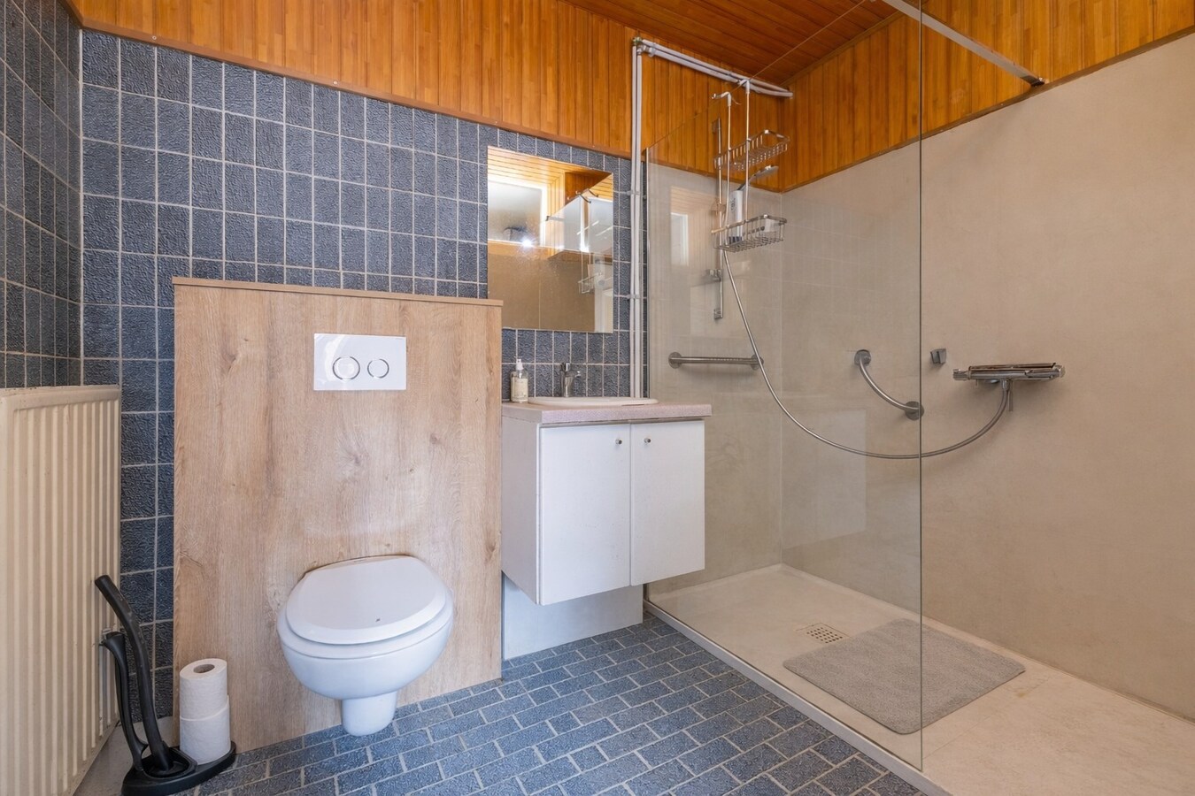 Ruime woning met winkelruimte, loods (optioneel) en garage 