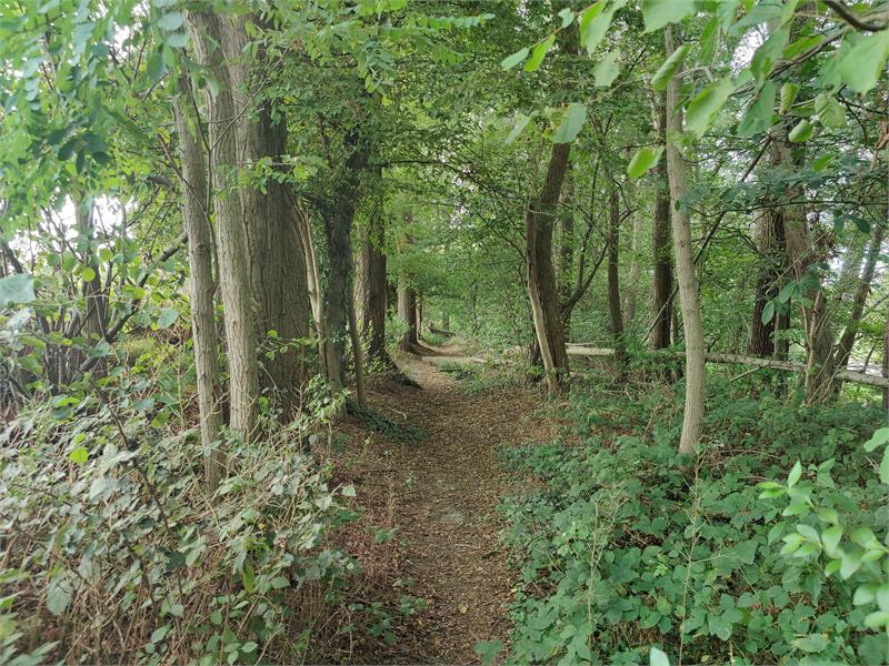 Appartement in hartje Melle. 