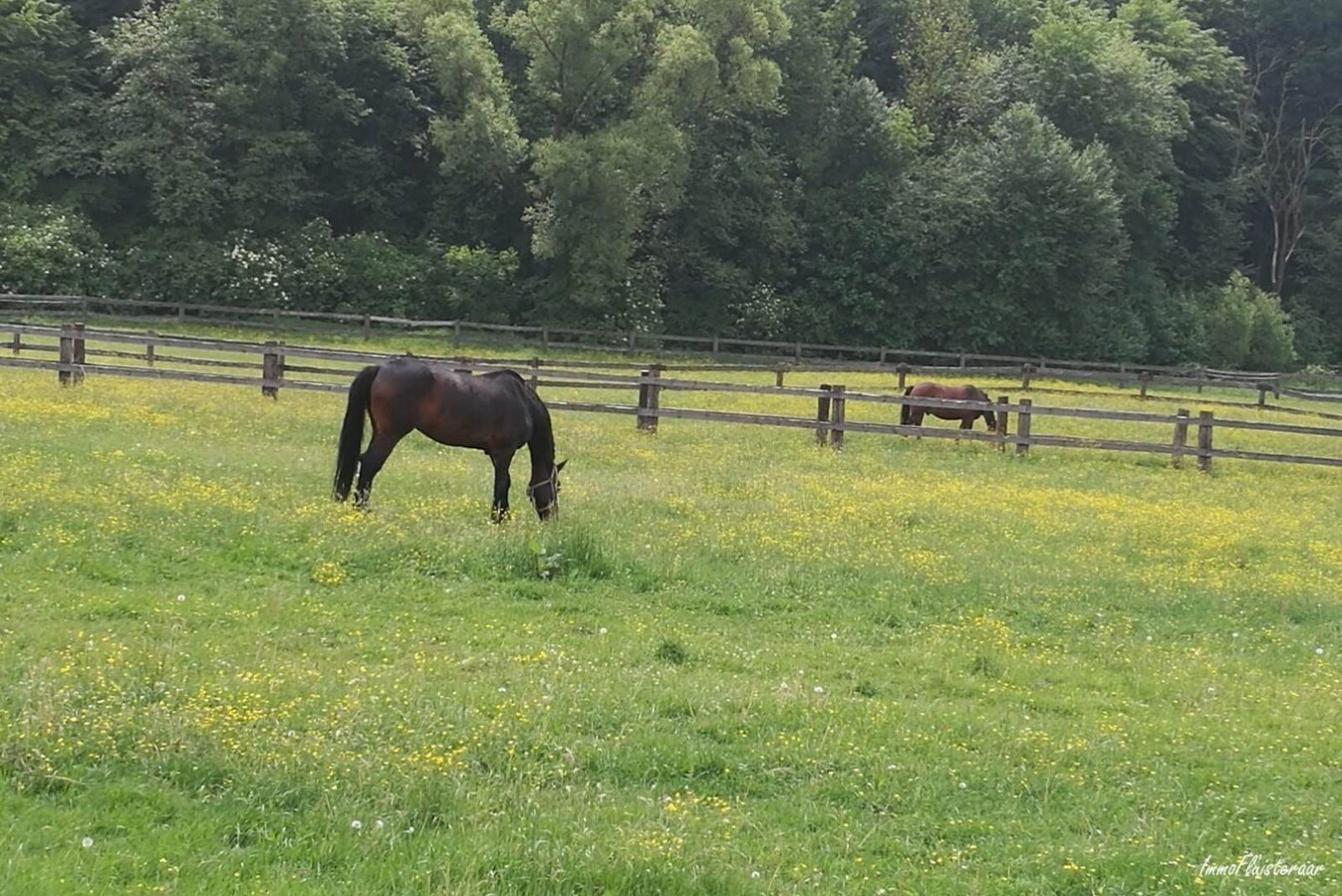 Installation équestre avec une piste intérieure et une maison spacieuse sur environ 6 hectares à Ham. 