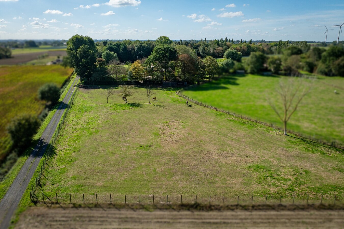Renovated farmhouse with pasture on approximately 2 hectares in Veldegem. 