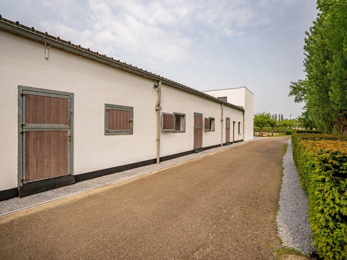 Prachtig hippische accomodatie op ca. 5,2 ha te Herselt 