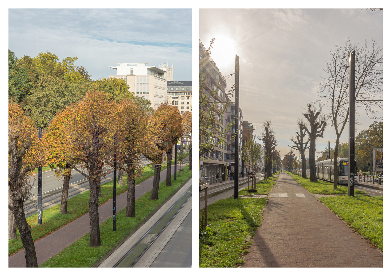 Lichtrijk appartement met zicht op het Zuidpark te Gent 