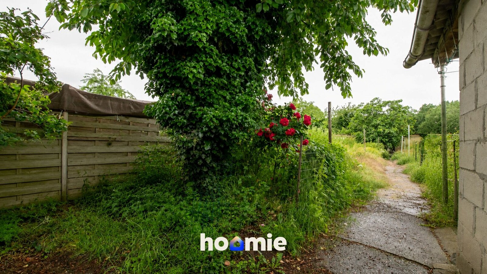 Woning te koop in Maasmechelen