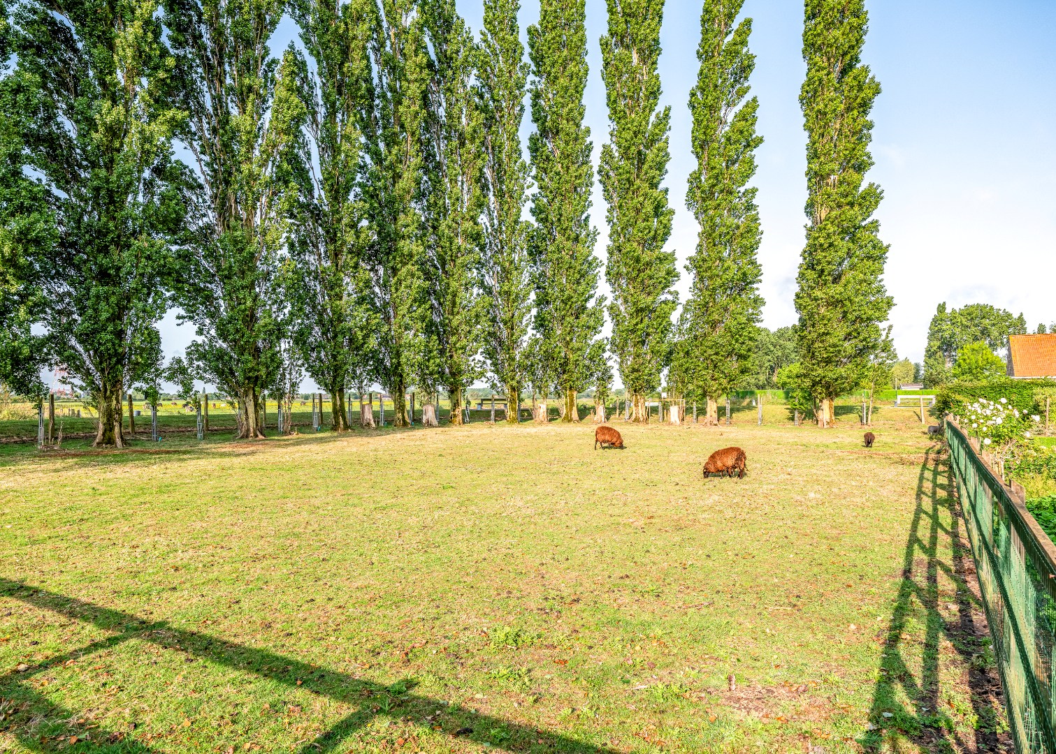 Restaurant met privéwoning en 2 B&amp;B-kamers op 4.370 m² 