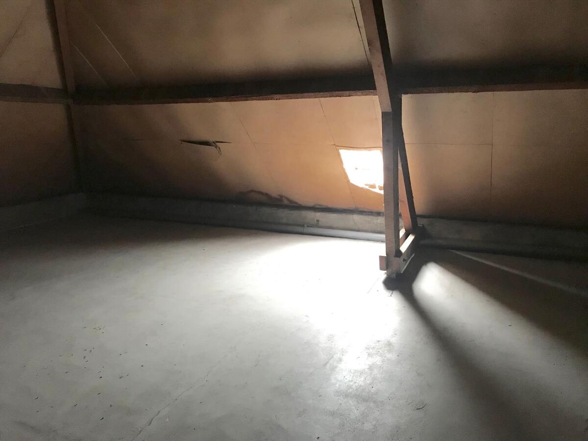 BURGERWONING MET POTENTIËEL 