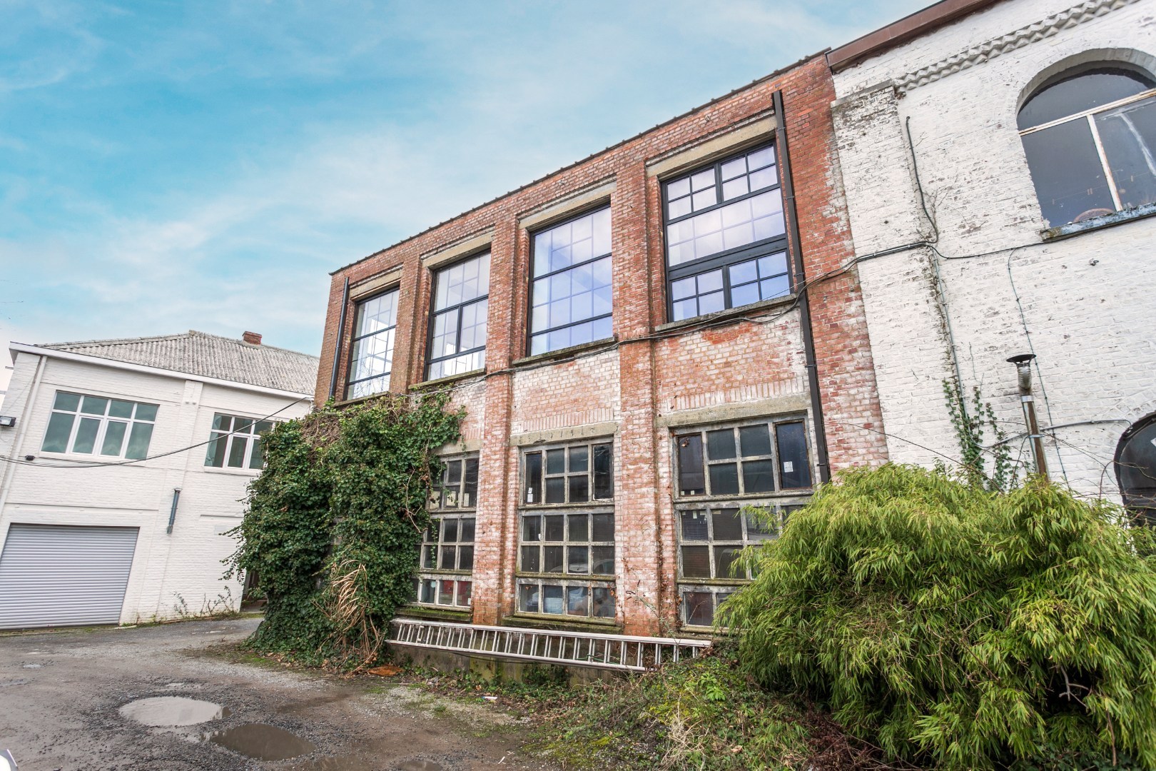 Opbrengsteigendom met gerenoveerde loft (EPC B) en atelier (100m²) naast het station van Braine-le-Comte 