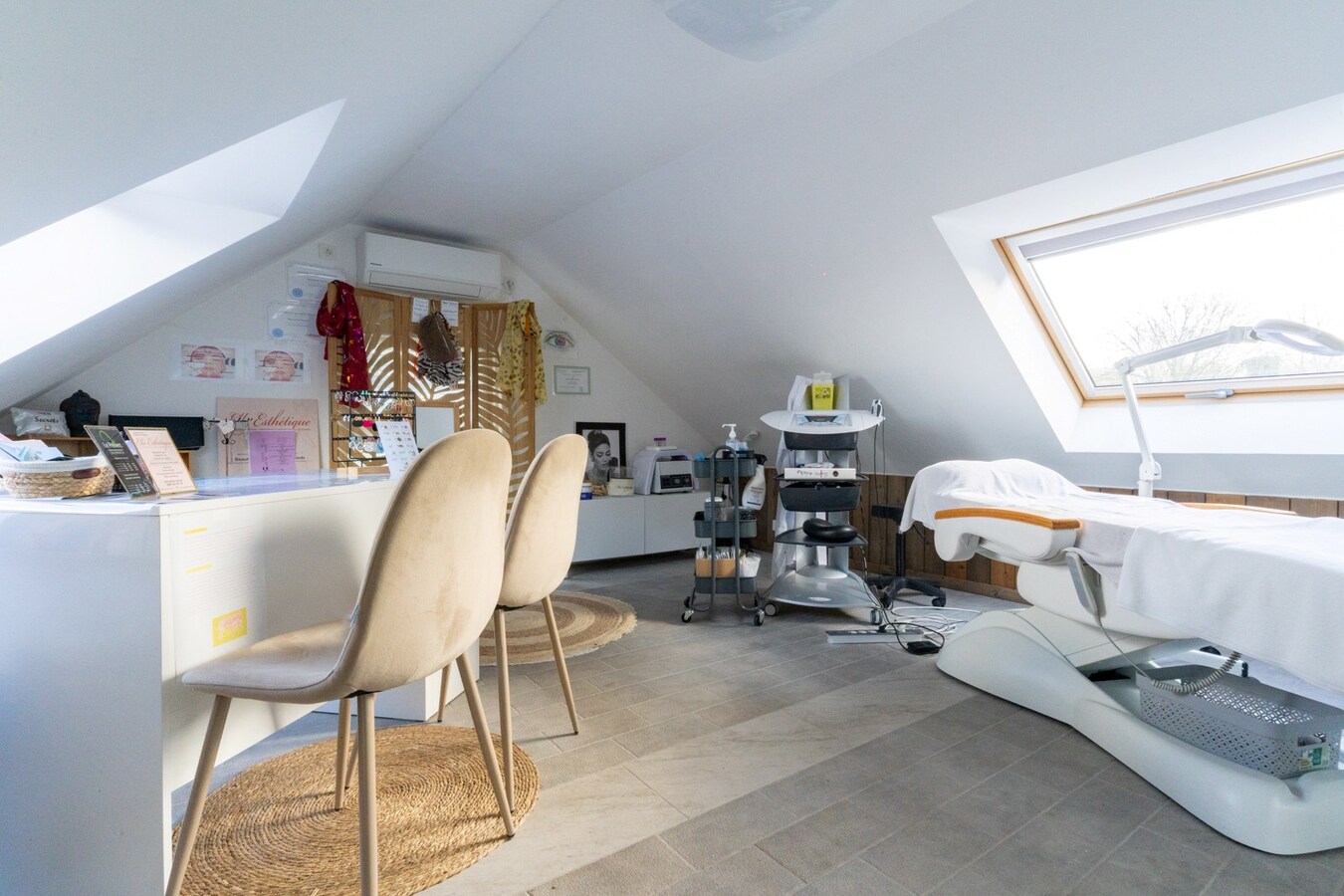 Ensemble immobilier érigé sur 2448m² (Corps de ferme, profession libérale, SPA Airbnb) 