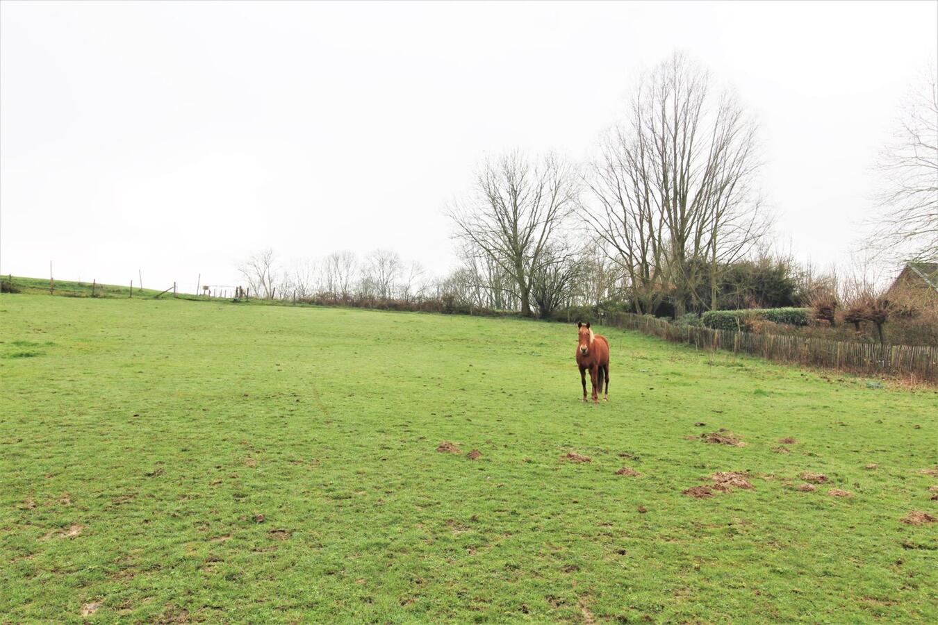 IN OPTIE - Woning met stalgebouw, buitenpiste en weilanden op ca. 1,8ha te Galmaarden (Vlaams-Brabant) 