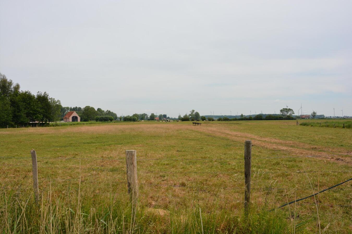 Goed gelegen stuk weiland 