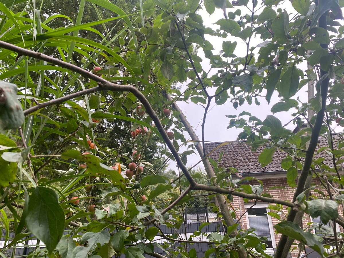 VERLAAGD in PRIJS ! Vrijstaande (vakantie)woning in het bos, Domein Sparrendal Lanklaar. 