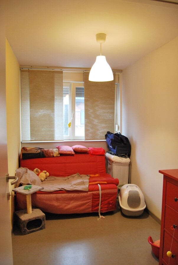 Instapklare woning met 2 stallen op ca.4000m² te Lebbeke 