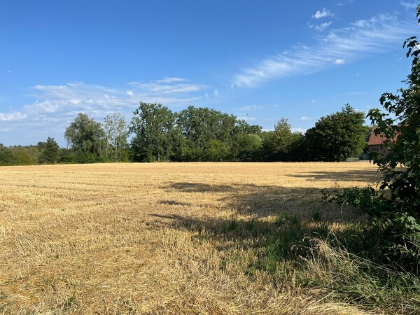 Verkocht landbouwgrond - Maasmechelen