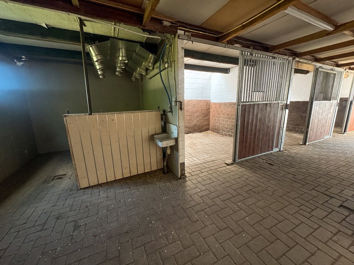 Ruime woning met paardenstallen op ca. 85 are te Kinrooi 