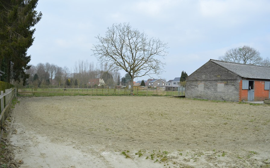 Ruime woning met stalgebouw op 6.723m² te Waarschoot 