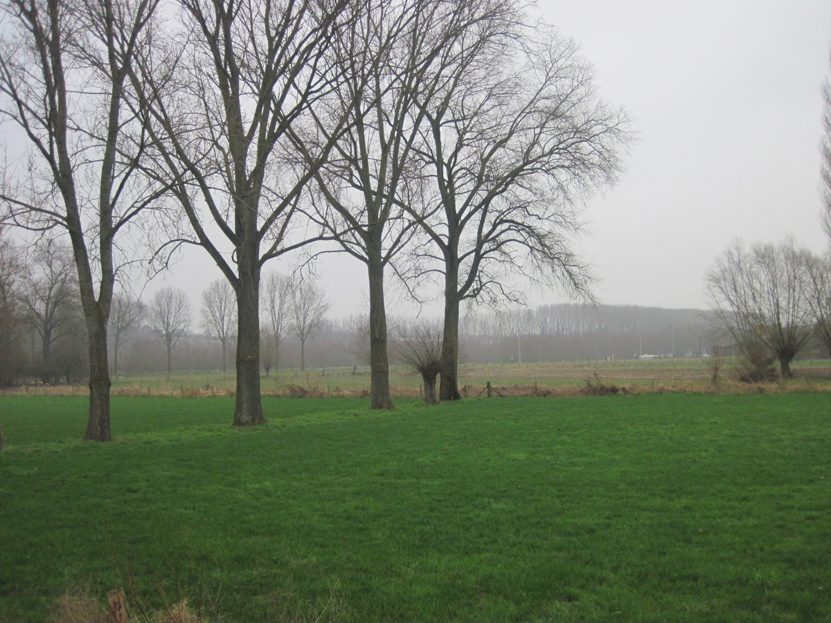 Stijlvolle en degelijke bungalow. Unieke ligging. 