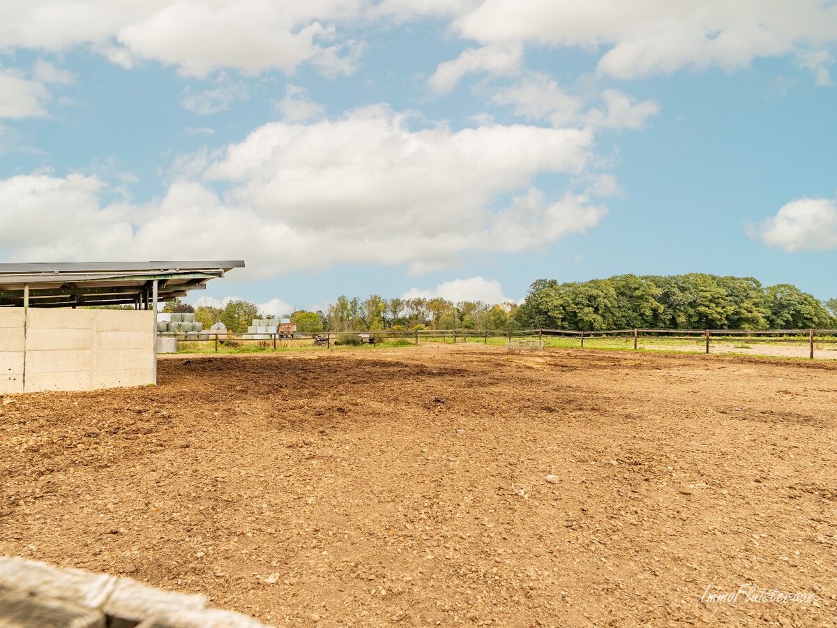 Unieke eigendom met veel potentieel en uitbreidingsmogelijkheden op ca. 4 ha in Gruitrode (Oudsbergen) 