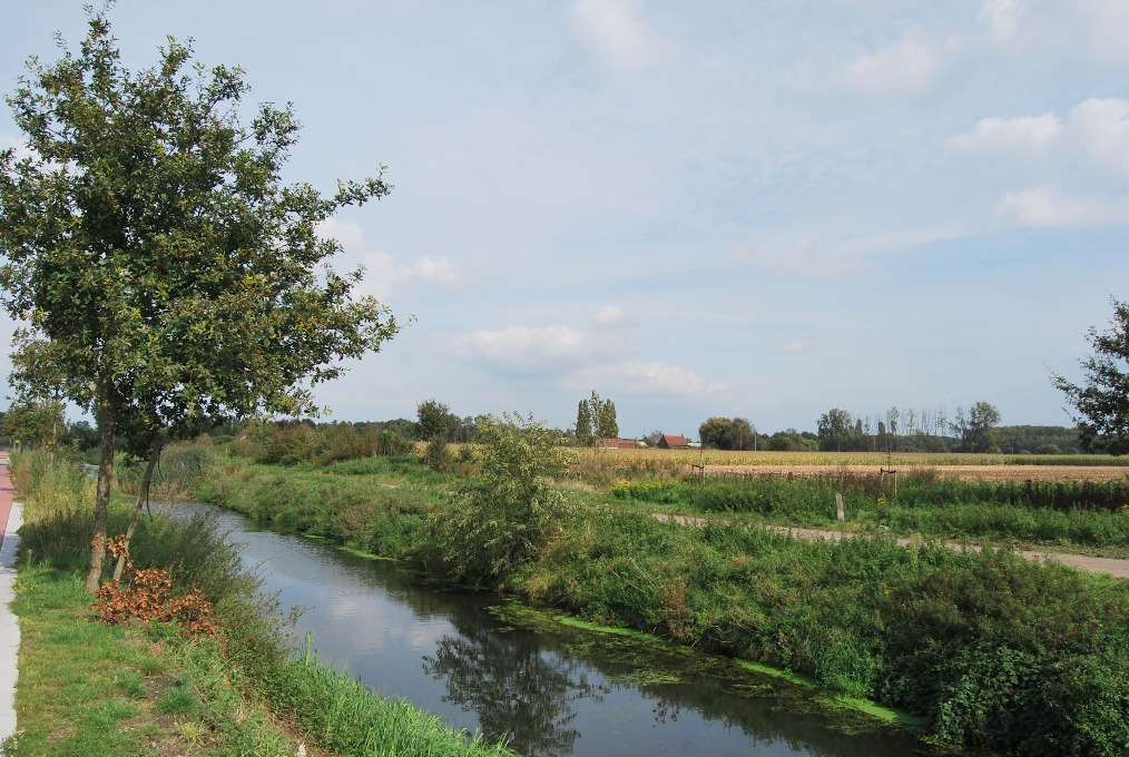 Te renoveren woning met bijgebouwen op 3516m² te Wachtebeke 
