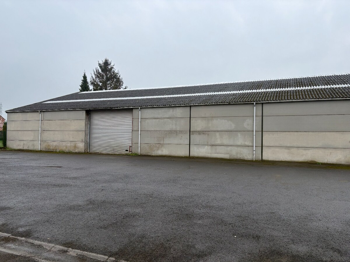 Te huur hangar (loods) - Meigem