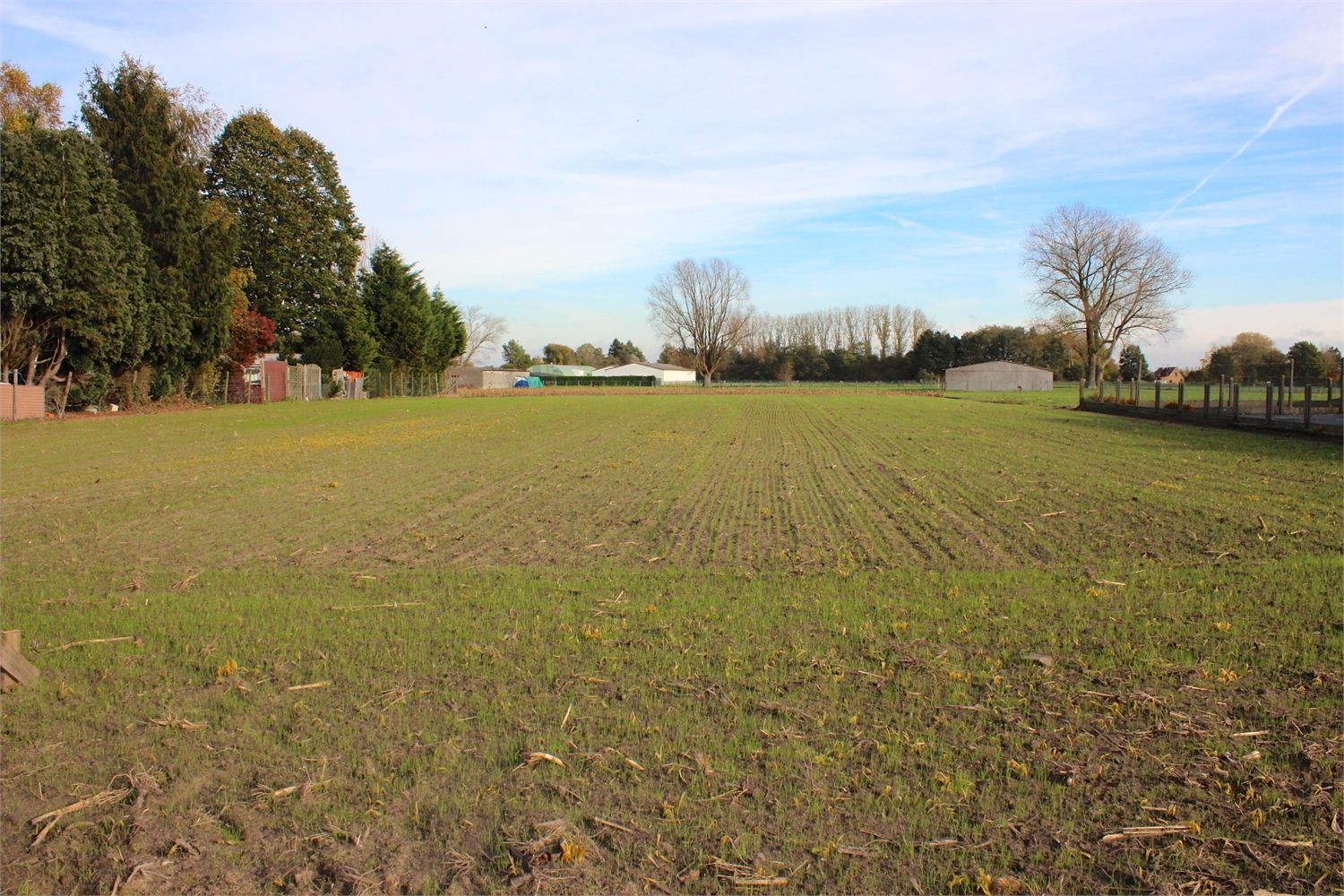 Prachtig perceel bouwgrond te Kruishoutem 