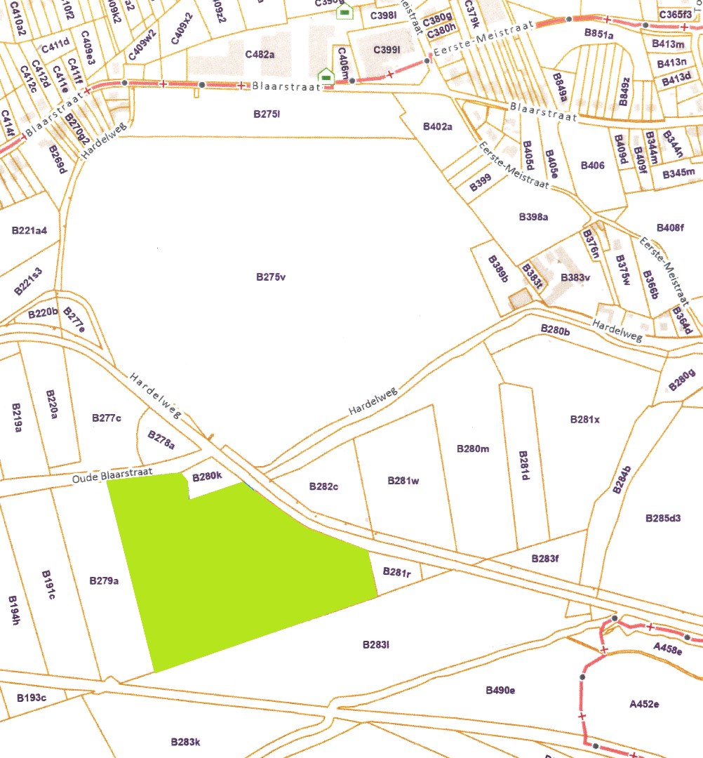 Perceel bos/weiland 5ha in natuurgebied De Kevie te Tongeren 