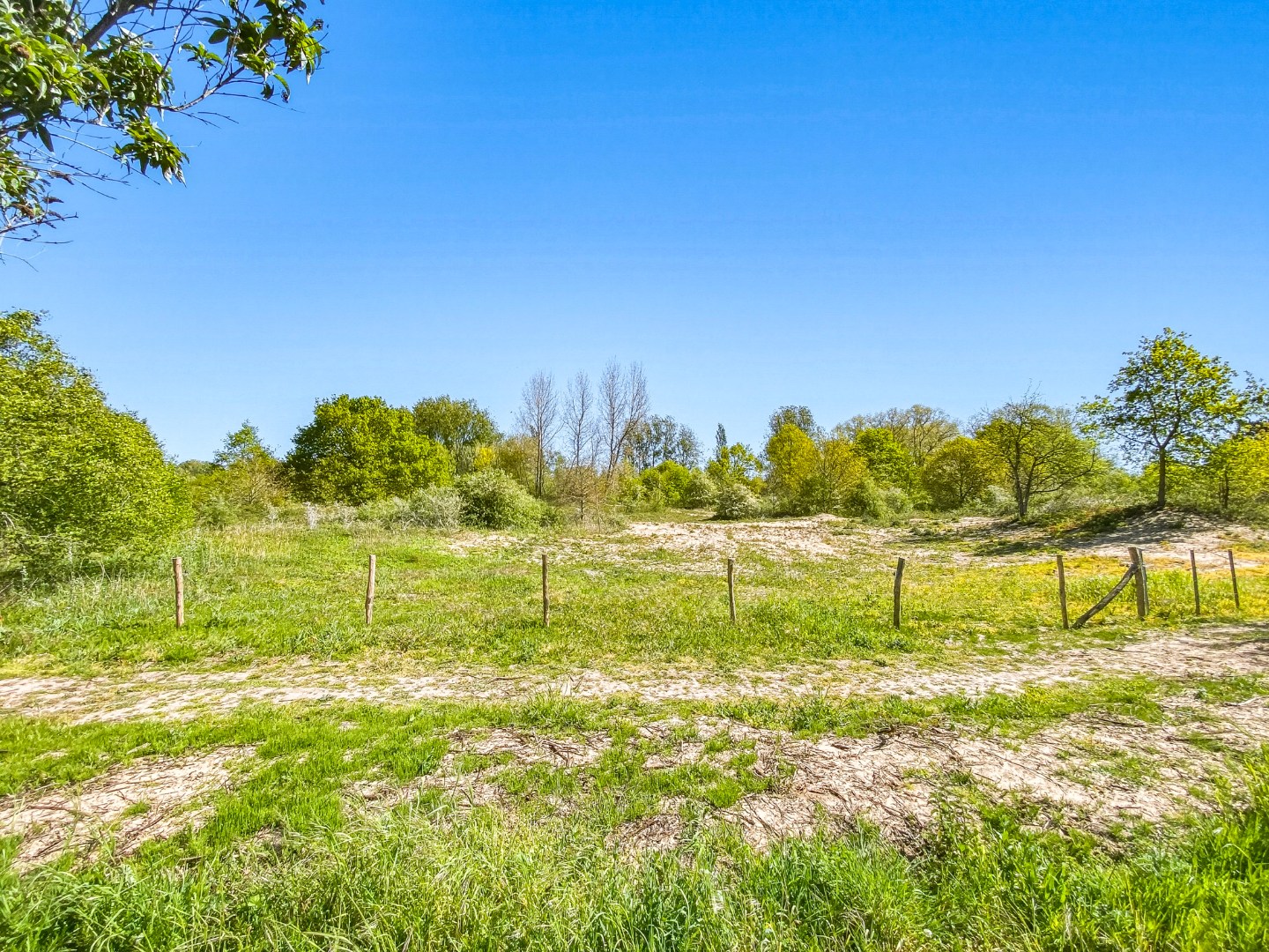 Ruime villa met 5 slaapkamers op 1082 m² te Oostduinkerke, gelegen vlakbij het natuurreservaat Hannecartbos. 