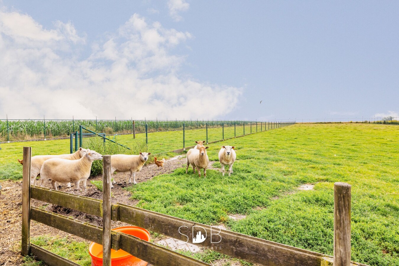 tekoop-woning-9630-zwalm-noordlaan-62