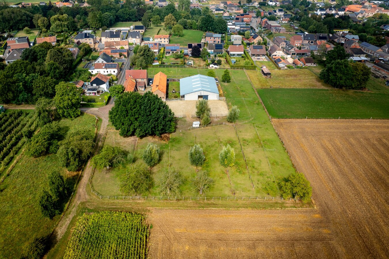 Ruime woning met buitenpiste en kleine binnenpiste op ca. 1,03ha te Hoeselt 