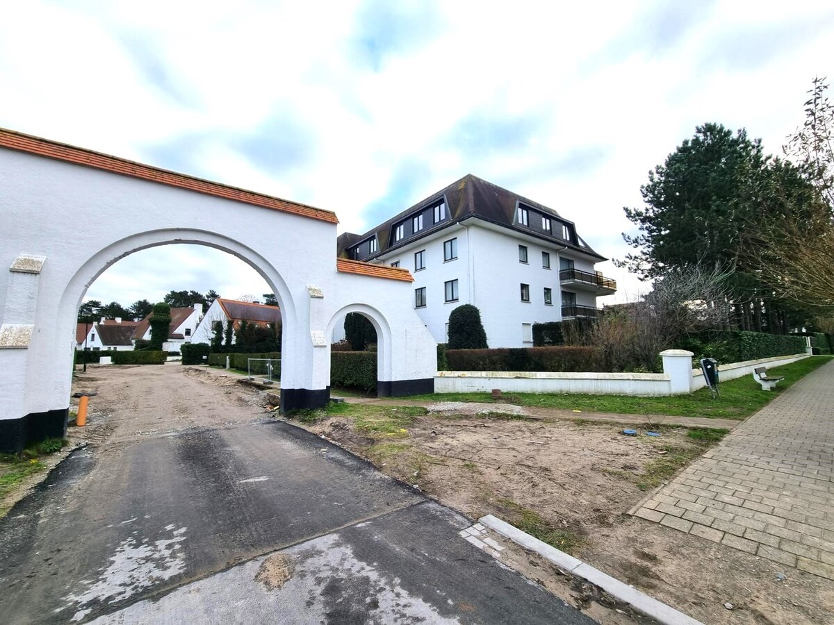 Autostandplaats in het Zoute vakbij het Albertplein 