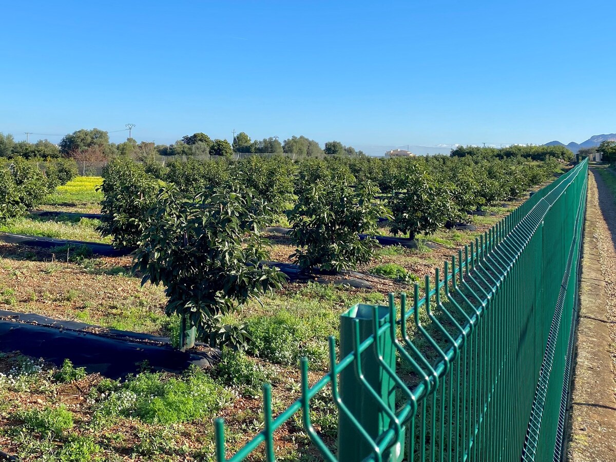 Villa te koop in Monte Solana