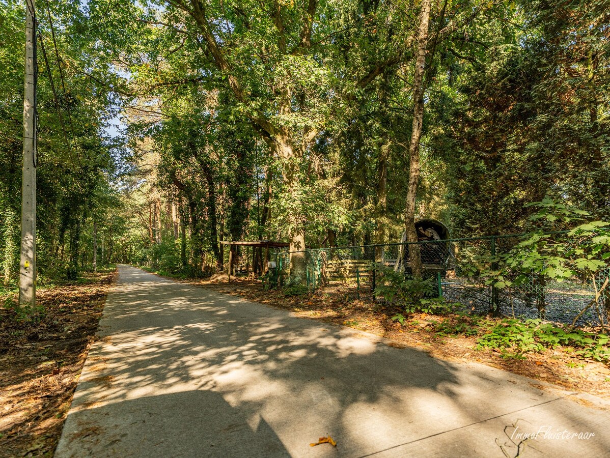 Rustig gelegen woning met renovatiepotentieel op ca. 40 are in Beverlo 