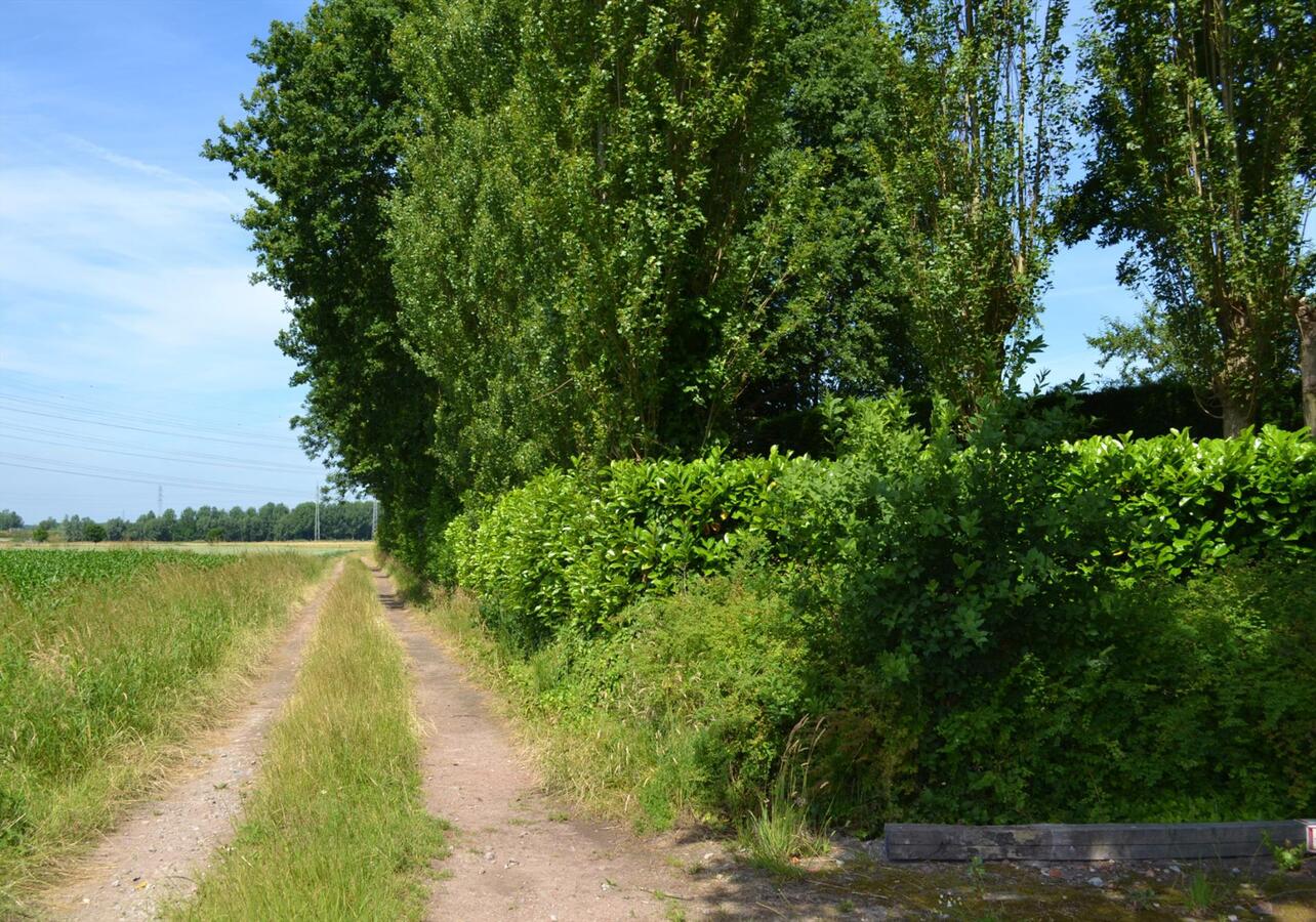 Te renoveren hoeve te Schelle op ca. 1.300M² 