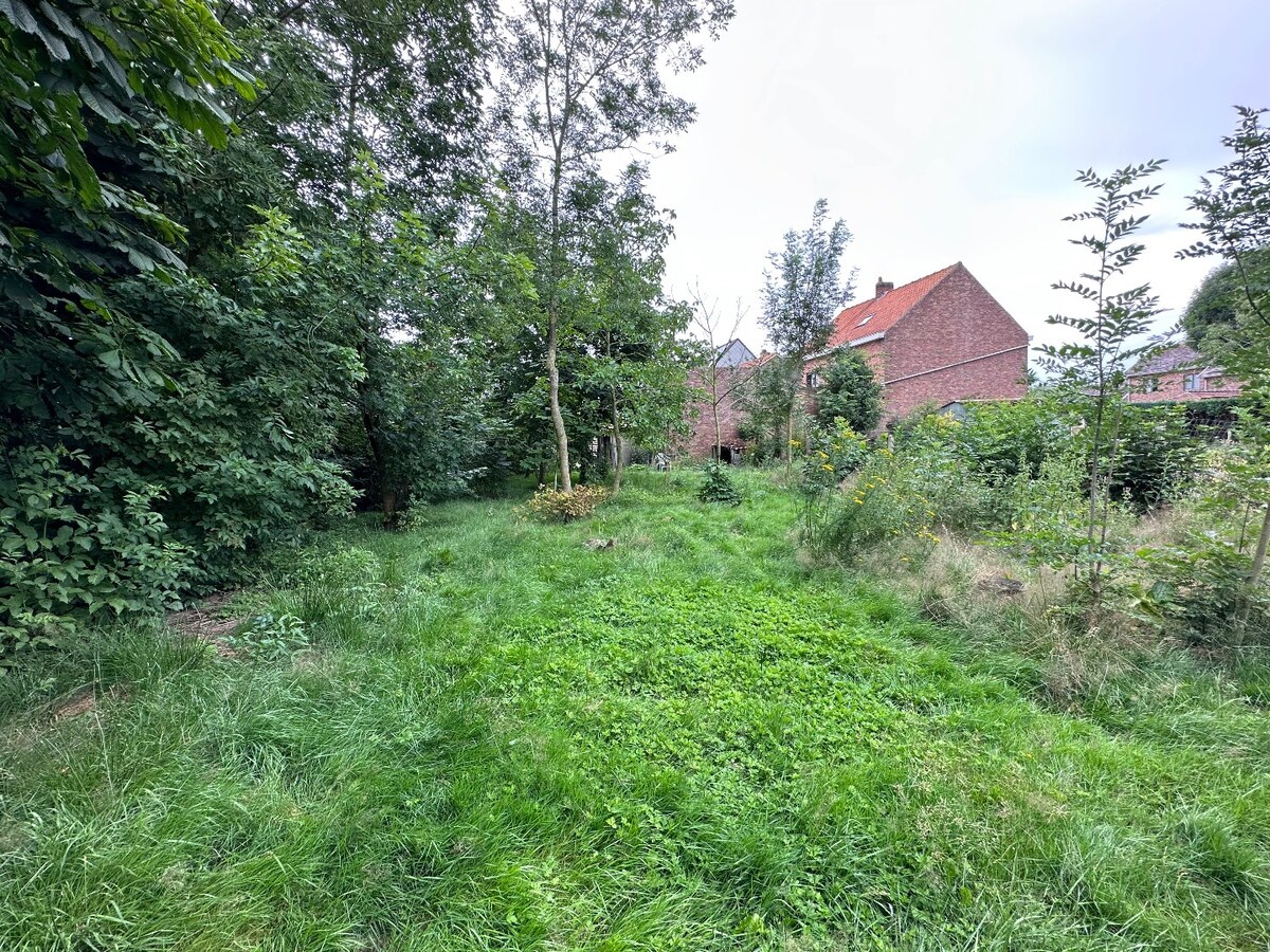 Grond te koop te Koekelare 