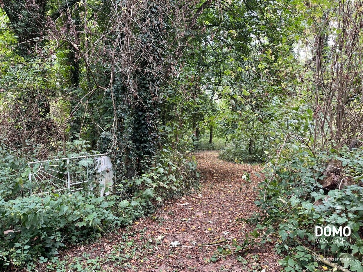 UNIEK DOMEIN MET OFF-GRID VAKANTIEWONING, SCHUUR EN 2 VIJVERS OP 1 HA 41 A 