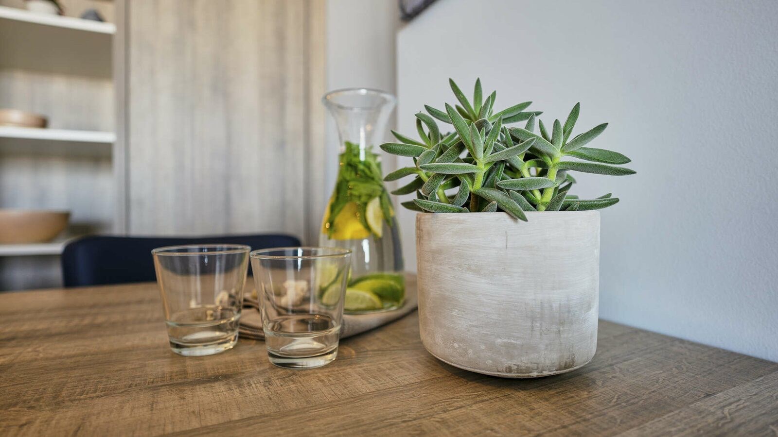 Vakantieverblijf voor 2 personen op de Zeedijk van Blankenberge met zeezicht 