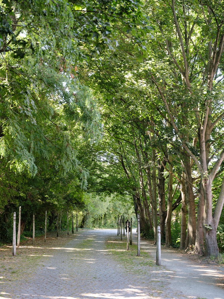 Instapklare woning nabij park met zeer ruime kamers 