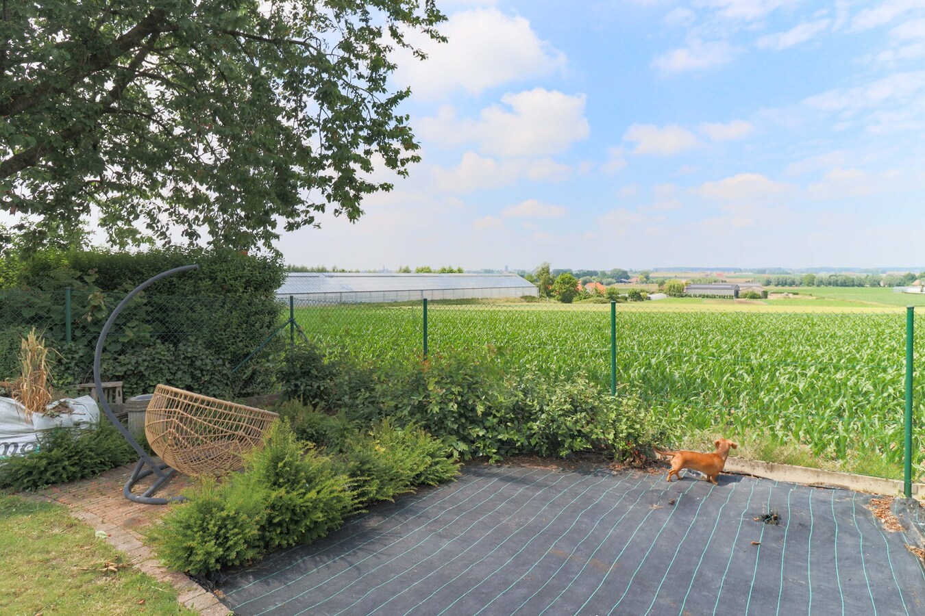 Unieke Villa te Moorslede met 5 slaapkamers op 726m² ! 