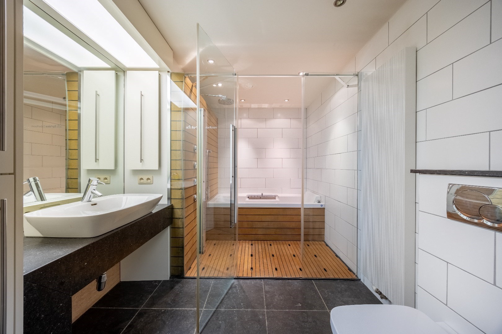 Dancing 'Alphorn' met bovenwoning 