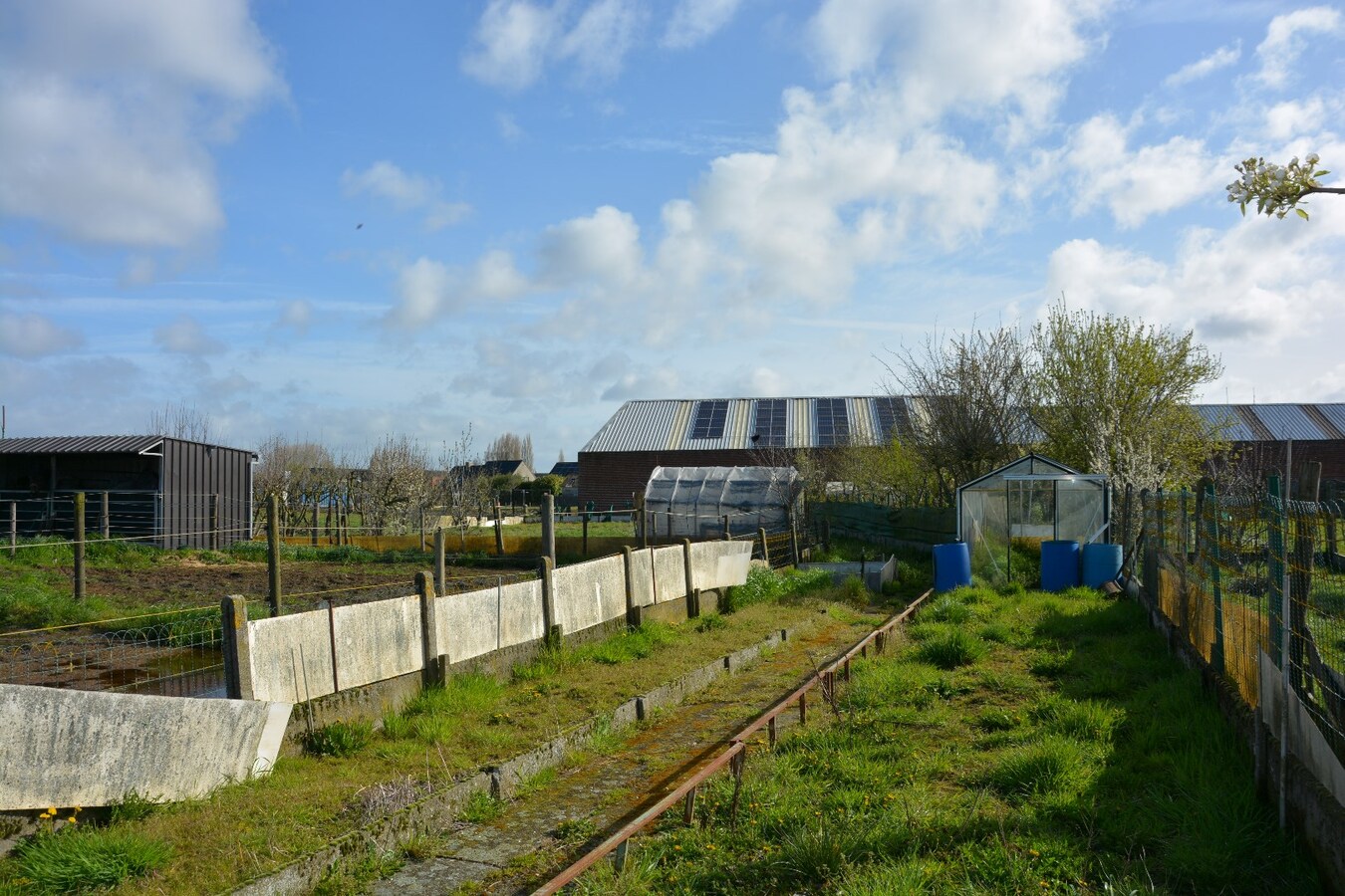 Karaktervolle woning met dubbele garage op 1.408m² 