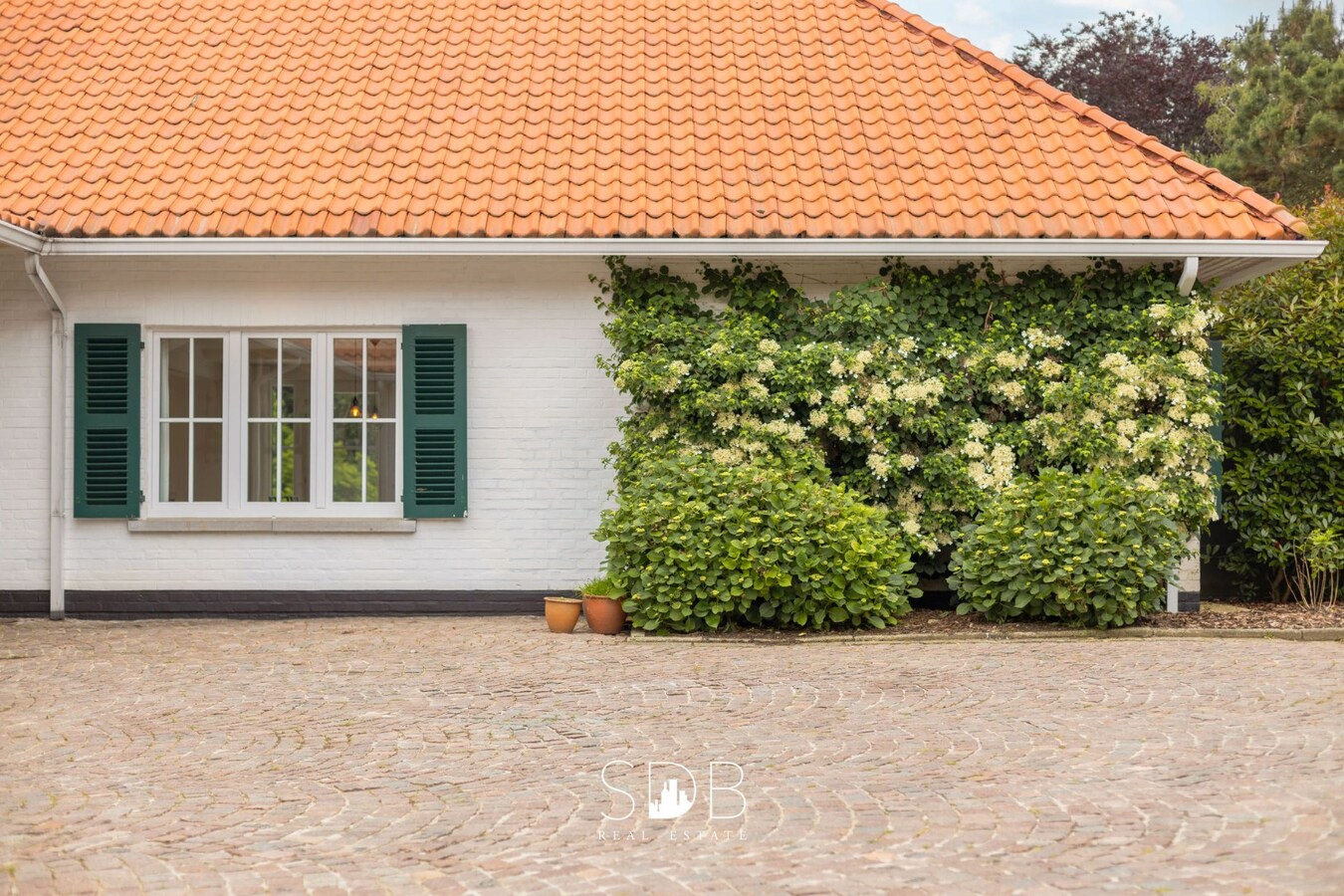 Prachtige villa met zwembad, paardenstallen, paddock en grasland op 1,3HA 