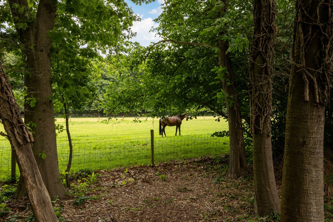 Moderne villa met zwembad op een toplocatie te Schilde! 