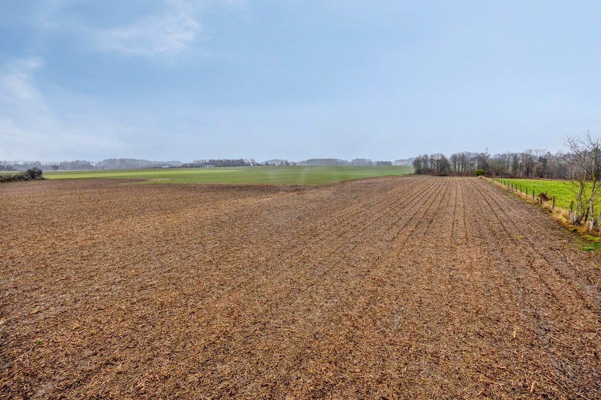 Landbouwgrond vrij van pacht in Bierbeek op een perceel van 1ha 