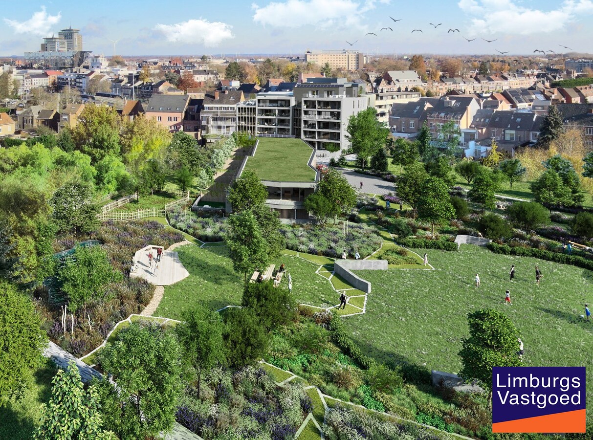 Casco Commercieel gelijkvloers, 162 m², centrum Hasselt 