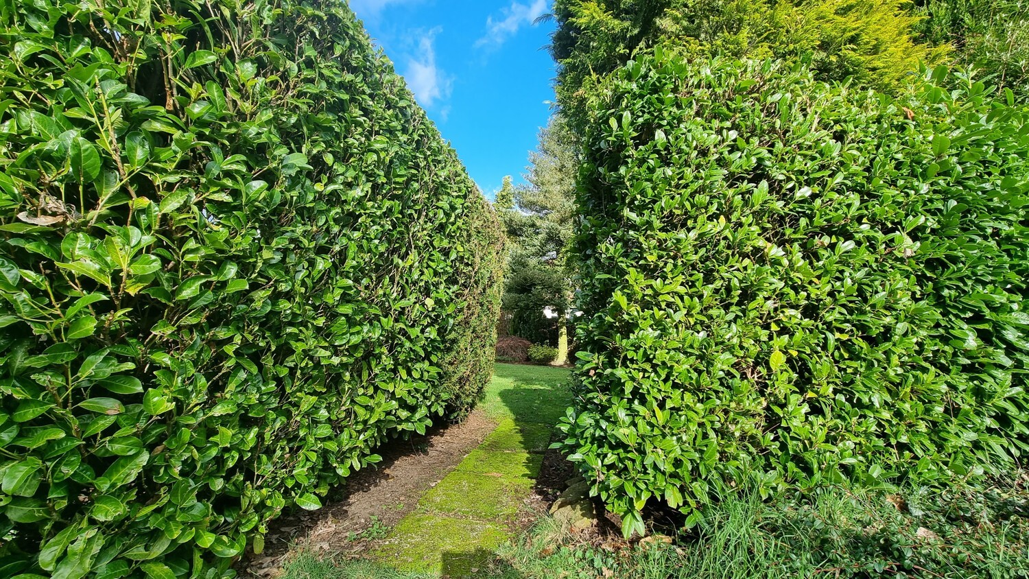 Instapklare gezinswoning op 1440 m² op toplocatie 