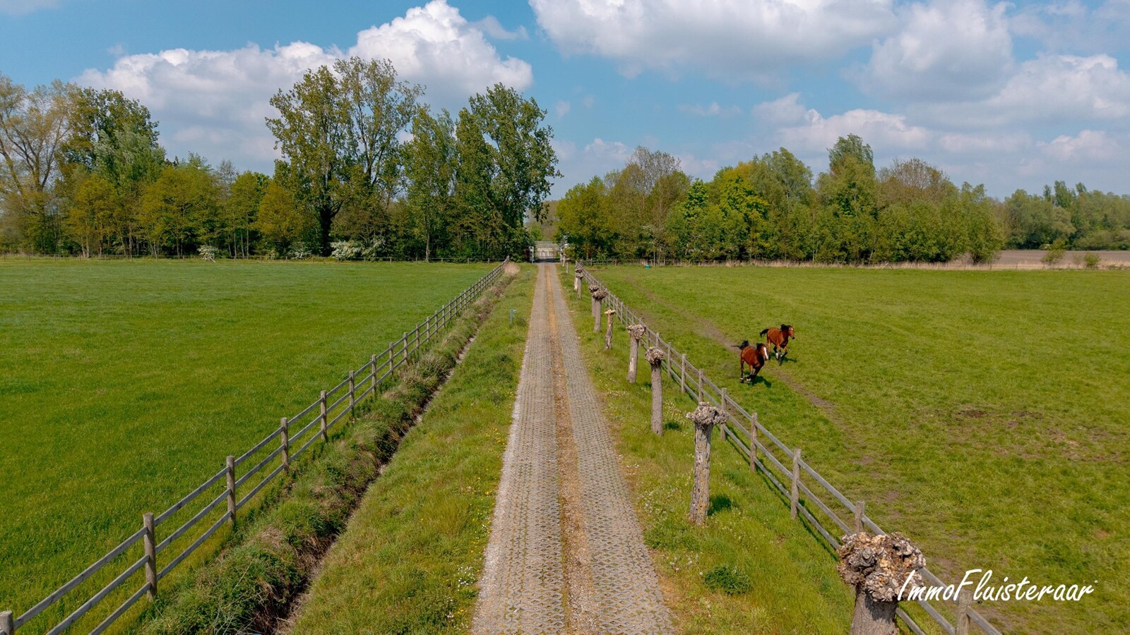 Exclusieve villa met professionele hippische accommodatie op ca. 14,5 ha (mogelijkheid tot aankoop extra gronden) te Astene (Deinze) 