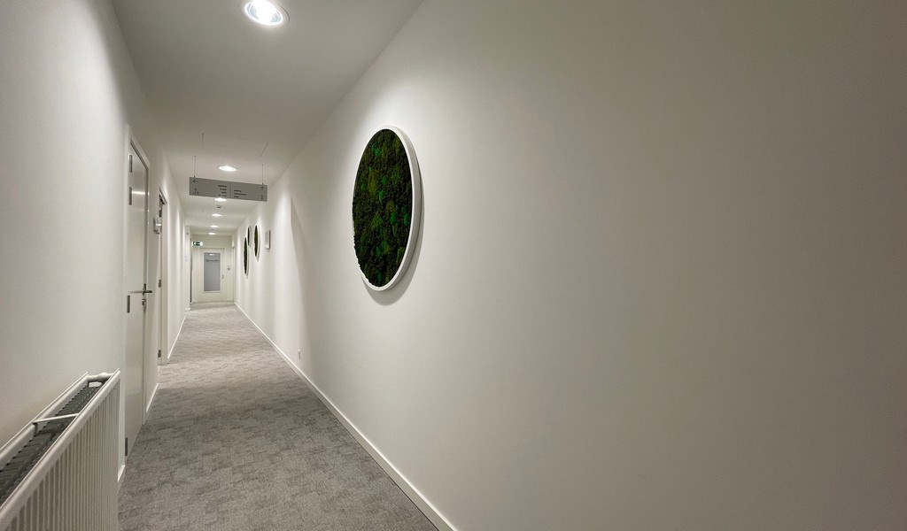 Kantoren te huur vlakbij R11 in Wilrijk