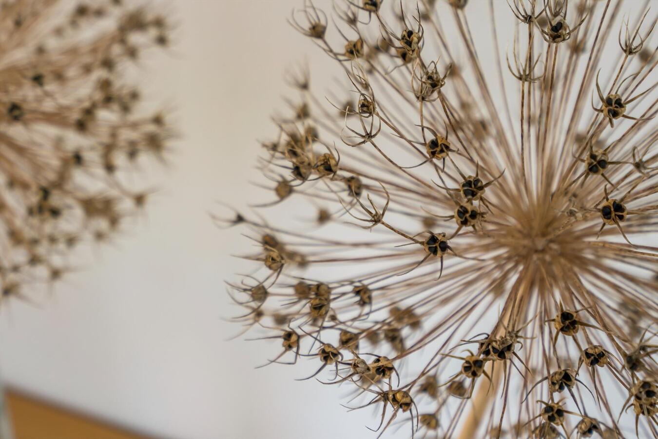 Woning met 4 slaapkamers en tuin te Ichtegem 