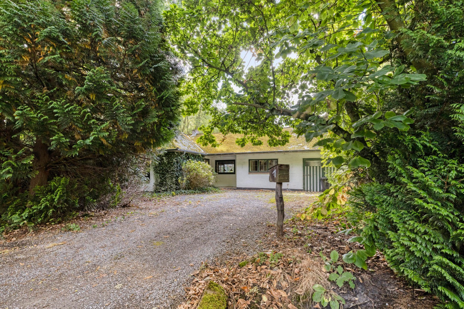 Volledig te renoveren/af te breken woning op prachtig perceel van 2682 m² te Schilde! 